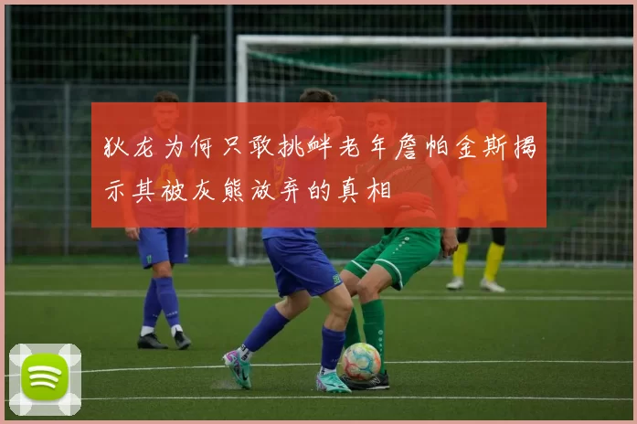 狄龙为何只敢挑衅老年詹帕金斯揭示其被灰熊放弃的真相